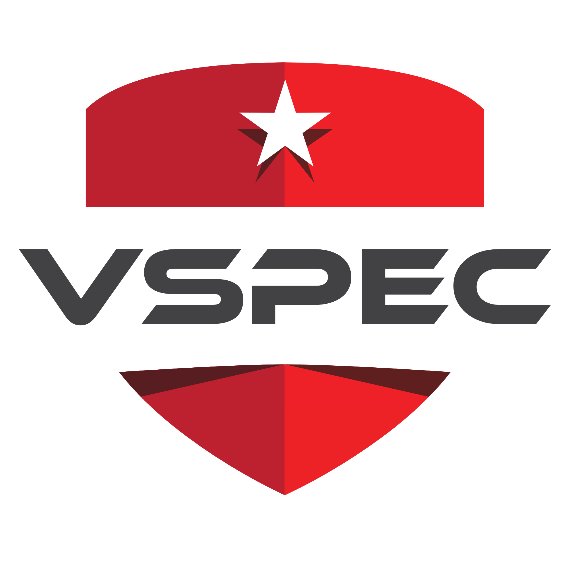 V-SPEC shield badge